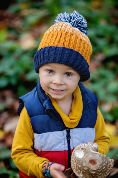 Cute Toddler Child Boy Holding Mushroom Forest Musroom Picking Season — Stock Photo, Image