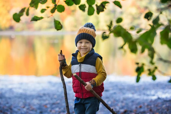 Criança Bonito Menino Brincando Floresta Dia Ensolarado Outono — Fotografia de Stock