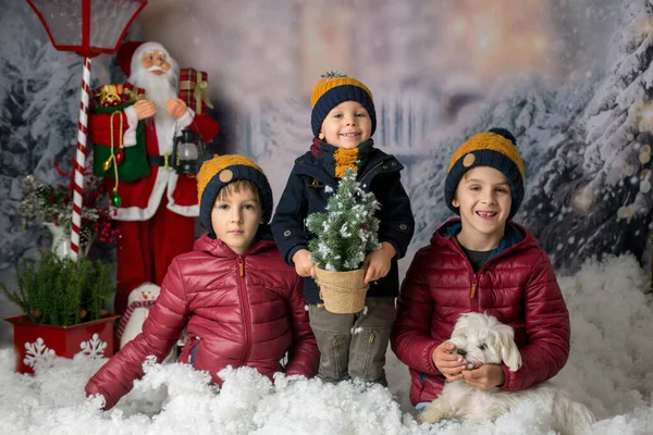 Drie Kinderen Jongen Broers Zussen Spelen Sneeuw Met Kleine Puppy — Stockfoto