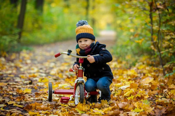 Χαριτωμένο Μικρό Παιδί Αγόρι Παίζει Στο Πάρκο Δάσος Την Ηλιόλουστη — Φωτογραφία Αρχείου