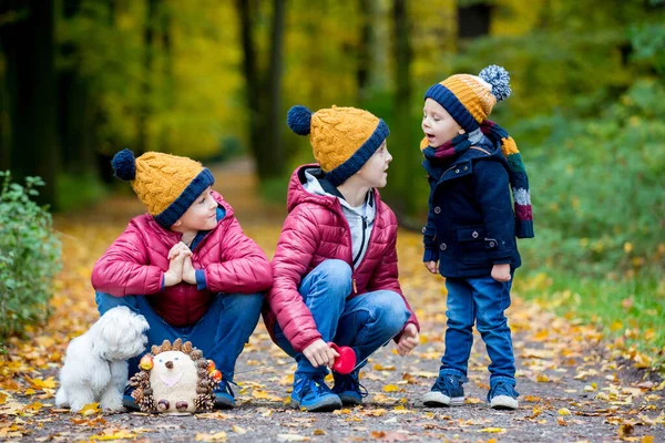 Троє Дітей Милі Хлопчики Брати Сестри Грають Парку Сонячний Осінній — стокове фото