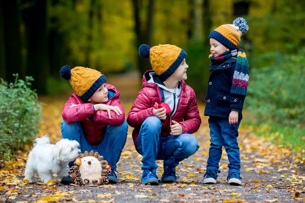 Tre Bambini Ragazzi Carini Fratelli Che Giocano Nel Parco Nella — Foto Stock