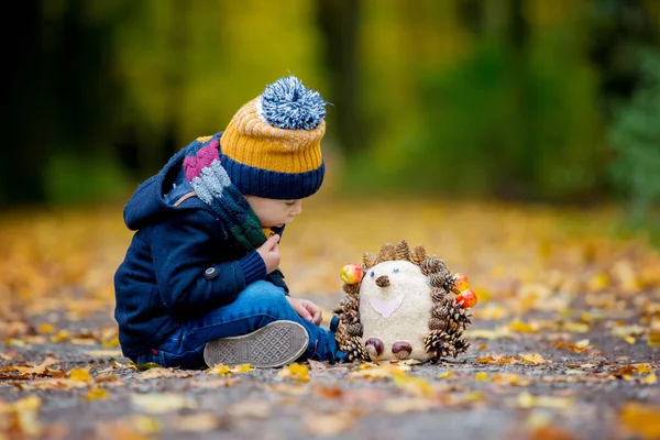 Criança Bonito Menino Brincando Parque Com Floresta Dia Ensolarado Outono — Fotografia de Stock