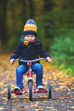 Tatlı çocuk, evlat, güneşli bir sonbahar gününde ormanda oyun oynuyor.