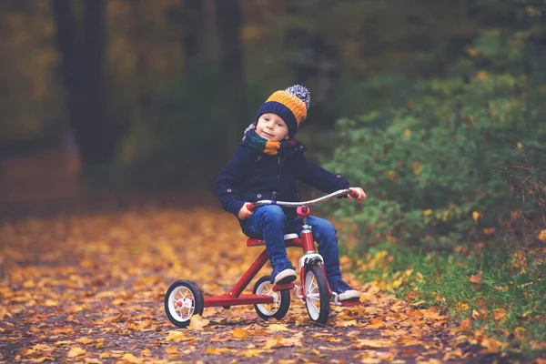 Симпатичный Малыш Мальчик Играет Парке Лесом Солнечный Осенний День — стоковое фото