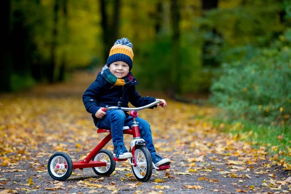 Niedliches Kleinkind Junge Spielt Park Mit Wald Einem Sonnigen Herbsttag — Stockfoto