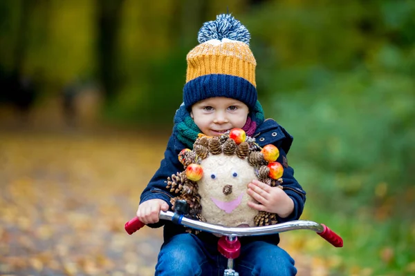 Niedliches Kleinkind Junge Spielt Park Mit Wald Einem Sonnigen Herbsttag — Stockfoto