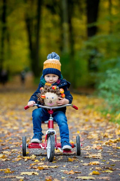 Cute Toddler Child Boy Playing Park Forest Sunny Autumn Day — Stock Photo, Image