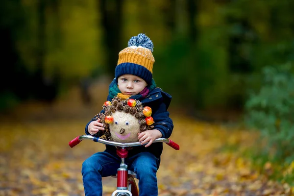 Niedliches Kleinkind Junge Spielt Park Mit Wald Einem Sonnigen Herbsttag — Stockfoto