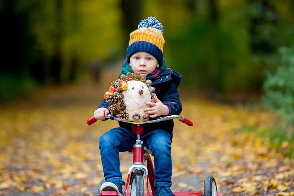 Criança Bonito Menino Brincando Parque Com Floresta Dia Ensolarado Outono — Fotografia de Stock