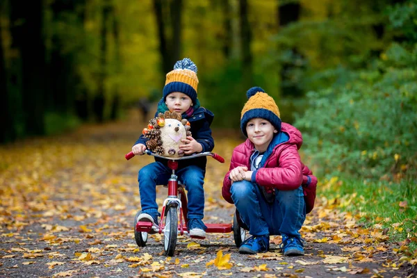かわいい幼児の子供 男の子 晴れた秋の日に森と公園で遊ぶ — ストック写真