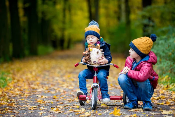 Söta Småbarn Pojke Leka Parken Med Skogen Solig Höstdag — Stockfoto