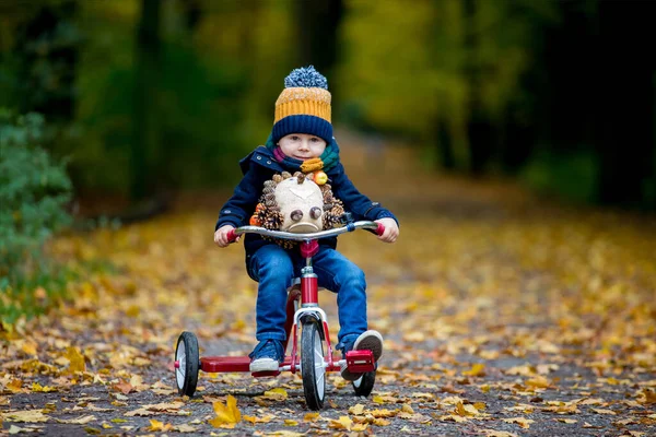 かわいい幼児の子供 男の子 晴れた秋の日に森と公園で遊ぶ — ストック写真