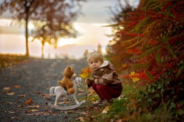 Güzel bir çocuk, oyuncak ayılı bir çocuk, gün batımında parktaki tahta atla oynuyor, sonbahar zamanı.