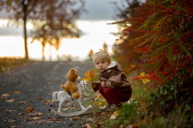 Güzel bir çocuk, oyuncak ayılı bir çocuk, gün batımında parktaki tahta atla oynuyor, sonbahar zamanı.