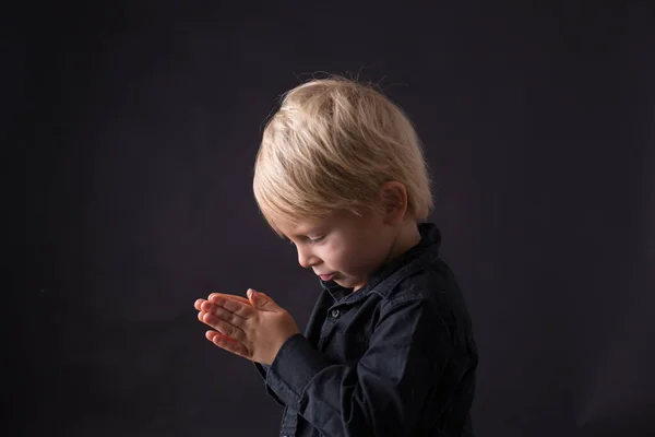 Kleine Peuter Kind Jongen Bidden Kind Bidden Geïsoleerde Achtergrond — Stockfoto