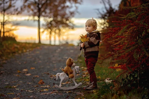 Beutevolles Kleinkind Junge Mit Teddybär Spiel Mit Holzpferd Park Bei — Stockfoto