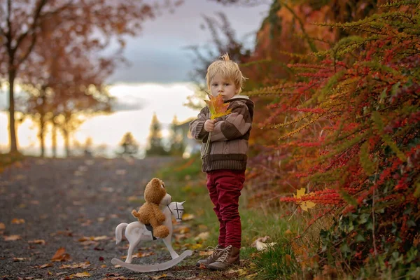 Beutevolles Kleinkind Junge Mit Teddybär Spiel Mit Holzpferd Park Bei — Stockfoto