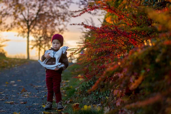 Beuatiful Toddler Child Boy Teddy Bear Playing Wooden Horse Park — Stock Photo, Image