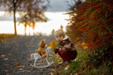 Güzel çocuk, oyuncak ayıyla çocuk, sonbaharda gün batımında parkta tahta atla oynuyor.