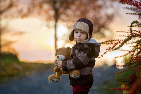 Bela Criança Menino Com Ursinho Pelúcia Brincando Com Cavalo Madeira — Fotografia de Stock