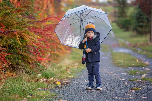 Sweet Toddler Blond Child Cute Boy Playing Autumn Park Colofrul — Stock Photo, Image