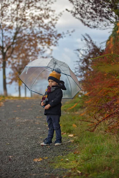 Tatlı Sarışın Çocuk Tatlı Çocuk Sonbahar Parkında Yağmurlu Bir Günde — Stok fotoğraf