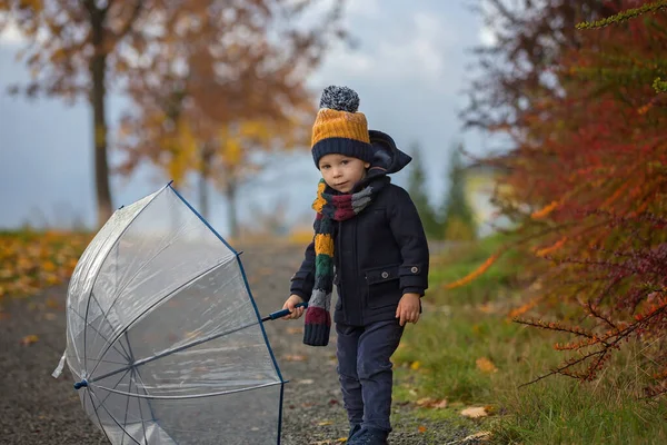 Tatlı Sarışın Çocuk Tatlı Çocuk Sonbahar Parkında Yağmurlu Bir Günde — Stok fotoğraf