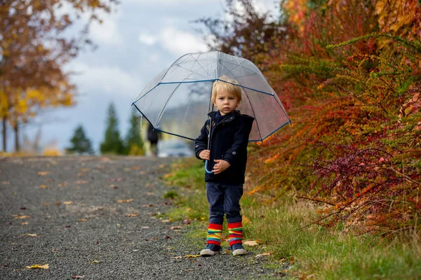 Süßes Kleines Blondes Kind Netter Junge Der Einem Regnerischen Tag — Stockfoto