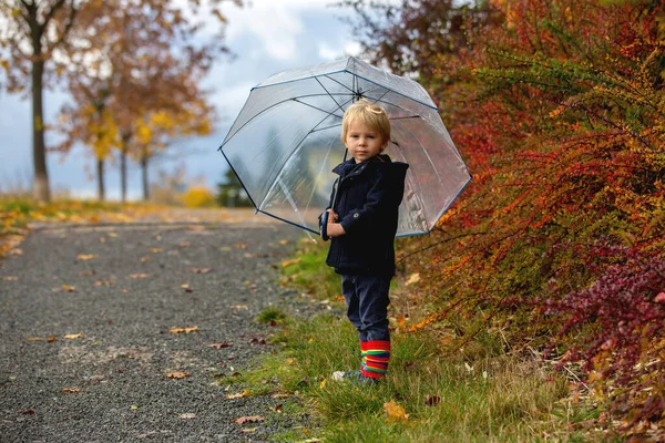 可爱的金发碧眼的小孩儿 可爱的小孩儿 雨天在秋天的公园里与五彩缤纷的树和灌木丛玩耍 — 图库照片