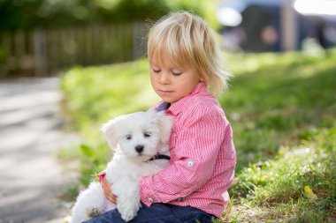 Çocuk, sevimli çocuk, parkta köpek evcil hayvanıyla oynuyor, kötü huylu köpek ve çocuk birlikte yürümekten hoşlanıyor.