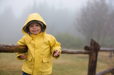 Şirin sarışın çocuk, evlat, kırsal bir yolda sisli bir sonbahar gününde yağmurda şemsiyeyle oynuyor.