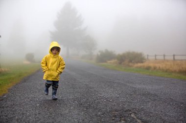 Şirin sarışın çocuk, evlat, kırsal bir yolda sisli bir sonbahar gününde yağmurda şemsiyeyle oynuyor.