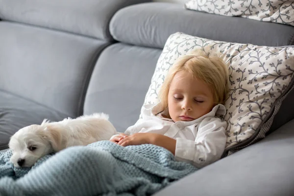 Sick Child Toddler Boy Lying Couch His White Puppy Living — Stock Photo, Image