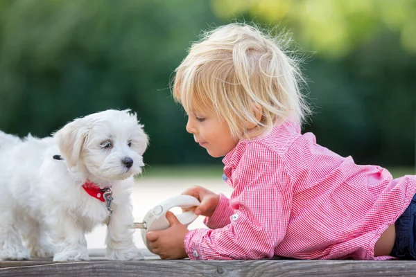 Çocuk Sevimli Çocuk Parkta Köpek Evcil Hayvanıyla Oynuyor Kötü Huylu — Stok fotoğraf