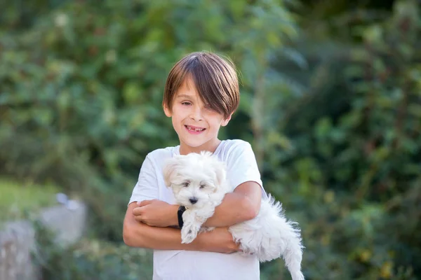 Barn Söt Pojke Leka Med Hund Husdjur Parken Maltesiska Hund — Stockfoto