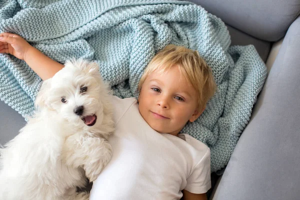 Lilla Barn Pojke Liggande Sängen Med Sällskapsdjur Hund Lilla Maltesiska — Stockfoto