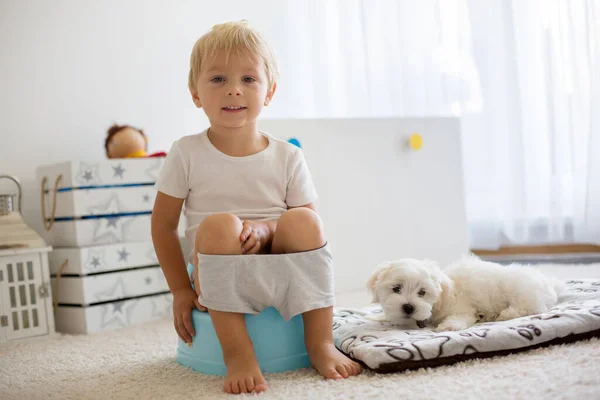 彼の隣に横たわっている小さなペットの悪意のある犬 家でケチを使用して ブロンドの幼児の子供 — ストック写真