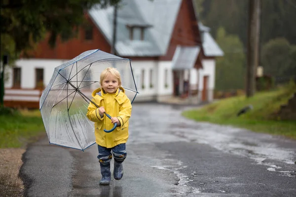 かわいい金髪の幼児の子供 男の子 田舎道の霧の秋の日に傘で雨の中で遊ぶ — ストック写真