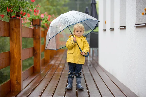 かわいい金髪の幼児の子供 男の子 田舎道の霧の秋の日に傘で雨の中で遊ぶ — ストック写真