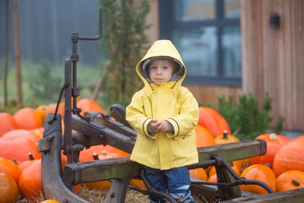 Şirin Sarışın Çocuk Evlat Kırsal Bir Yolda Sisli Bir Sonbahar — Stok fotoğraf