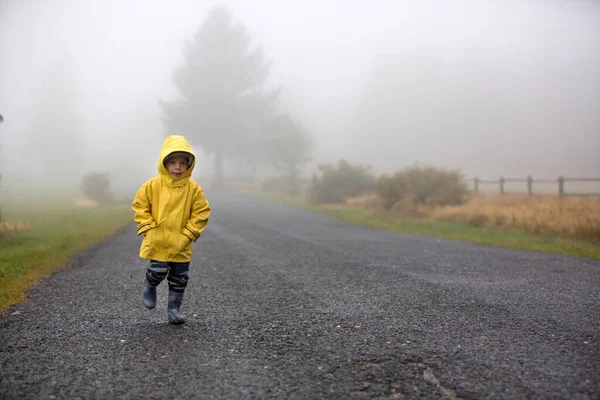 Şirin sarışın çocuk, evlat, kırsal bir yolda sisli bir sonbahar gününde yağmurda şemsiyeyle oynuyor.