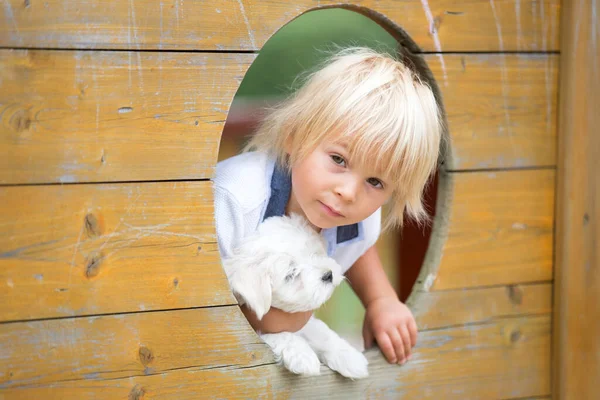 白いマルチ子犬とかわいい幼児の子供 公園で遊んで 歩くと三輪車に乗る — ストック写真