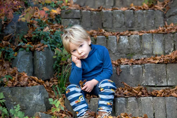 Criança Bonito Sentado Nas Escadas Brincando Com Folhas Autumntime — Fotografia de Stock