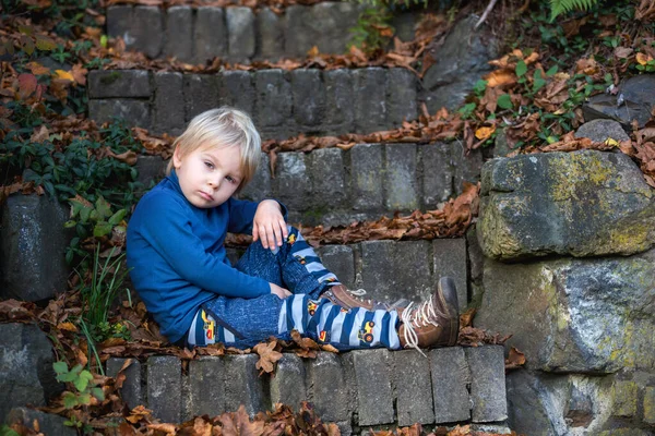 Criança Bonito Sentado Nas Escadas Brincando Com Folhas Autumntime — Fotografia de Stock