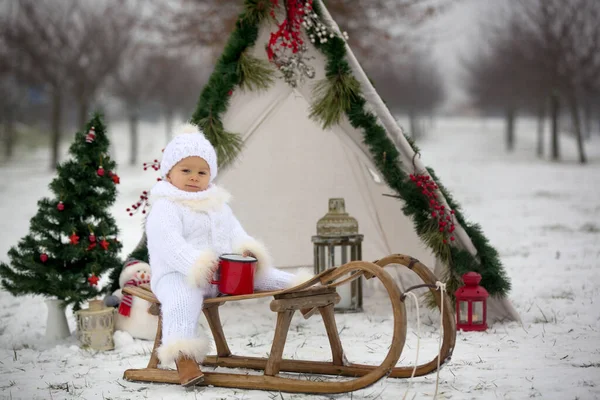 有孩子的快乐家庭 圣诞节在外面的雪地里玩的开心 玩雪橇 玩的开心 玩的开心 — 图库照片