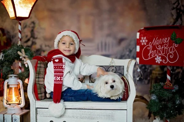 漂亮的孩子 蹒跚学步的孩子 还有一条恶意中伤的白狗 坐在长椅上 身边挂着圣诞装饰品 — 图库照片