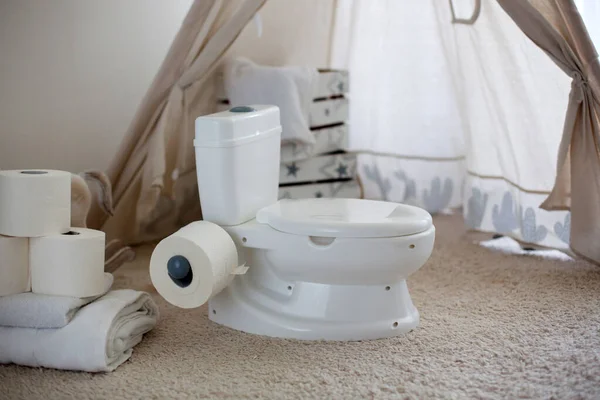 トイレタリーペーパーとタオル付きの赤ちゃんトイレのポテト 本物のトイレの小さなモデル — ストック写真