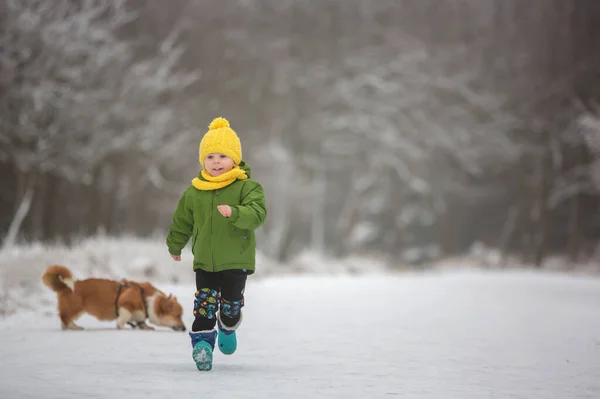Lindo Niño Jugando Bosque Invierno Durante Día Frío Nevado —  Fotos de Stock