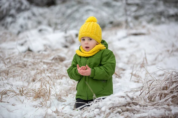 Schattig Kind Spelend Het Winterbos Tijdens Een Koude Sneeuwdag — Stockfoto